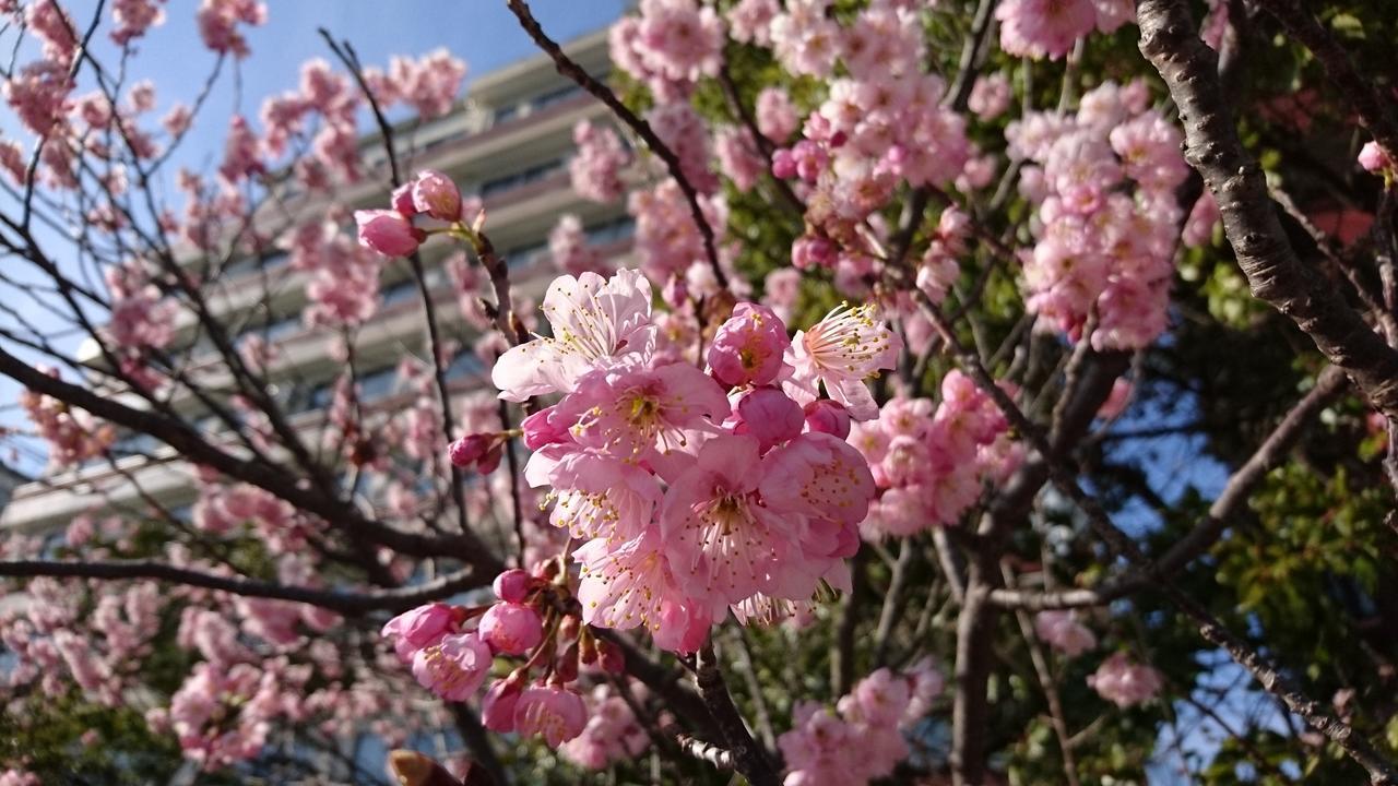 Shoei Daini Bekkan Kōchi Dış mekan fotoğraf