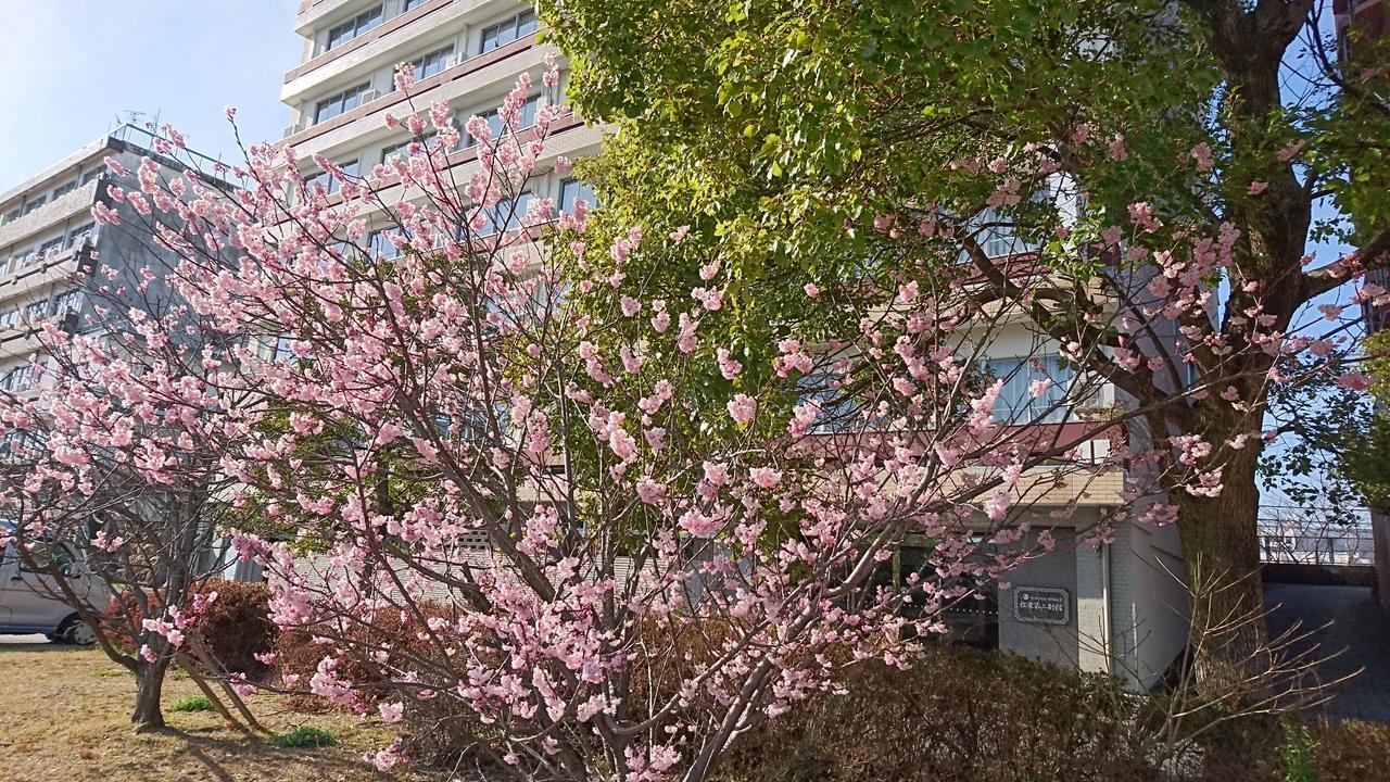 Shoei Daini Bekkan Kōchi Dış mekan fotoğraf